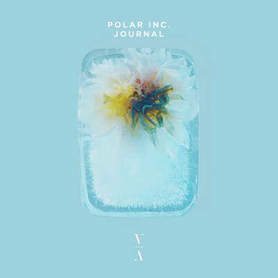 Journal By Polar Inc.'s cover