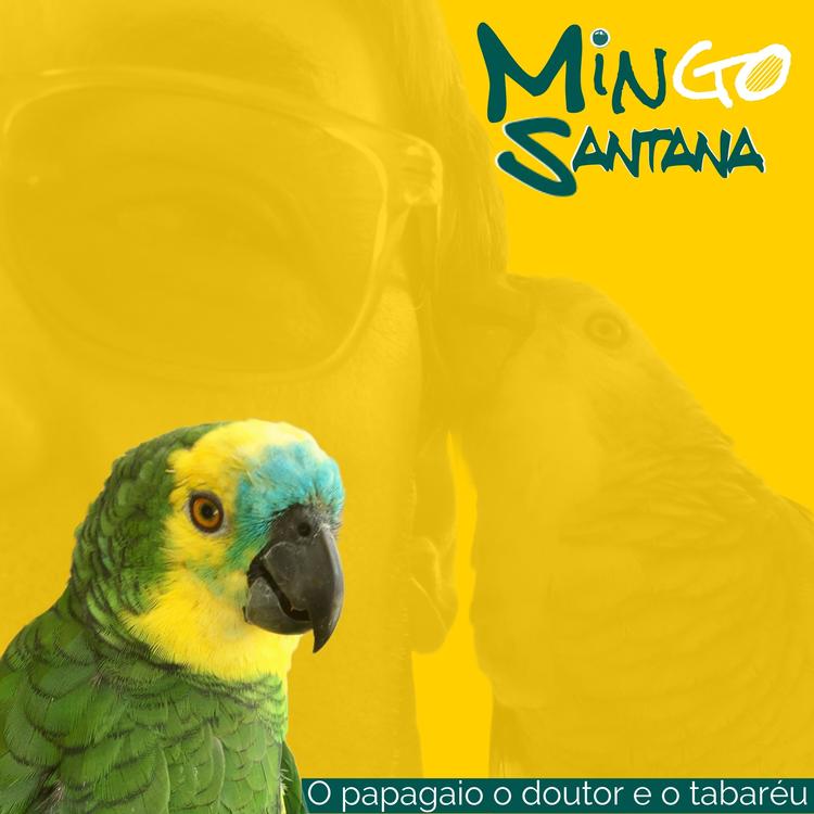 Mingo Santana's avatar image