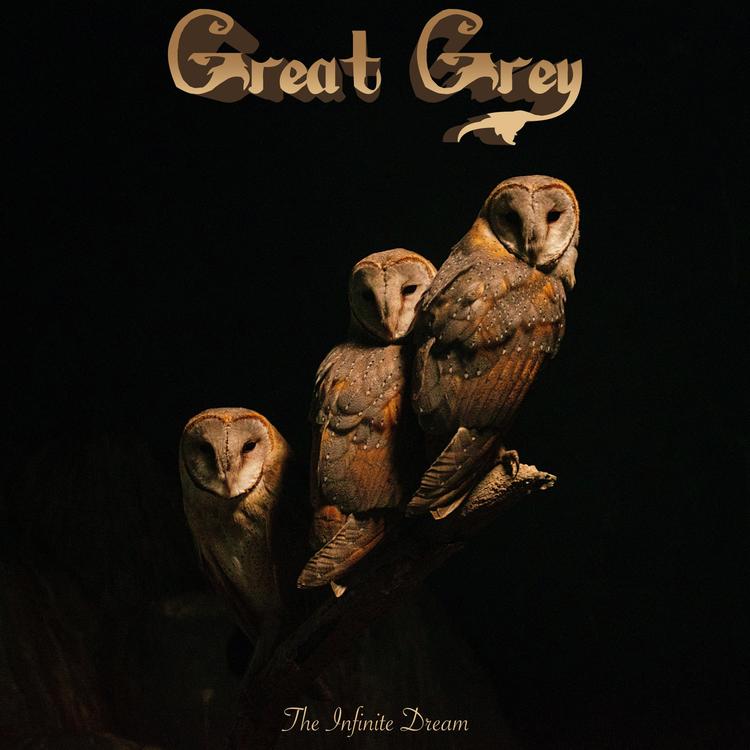 Great Grey's avatar image