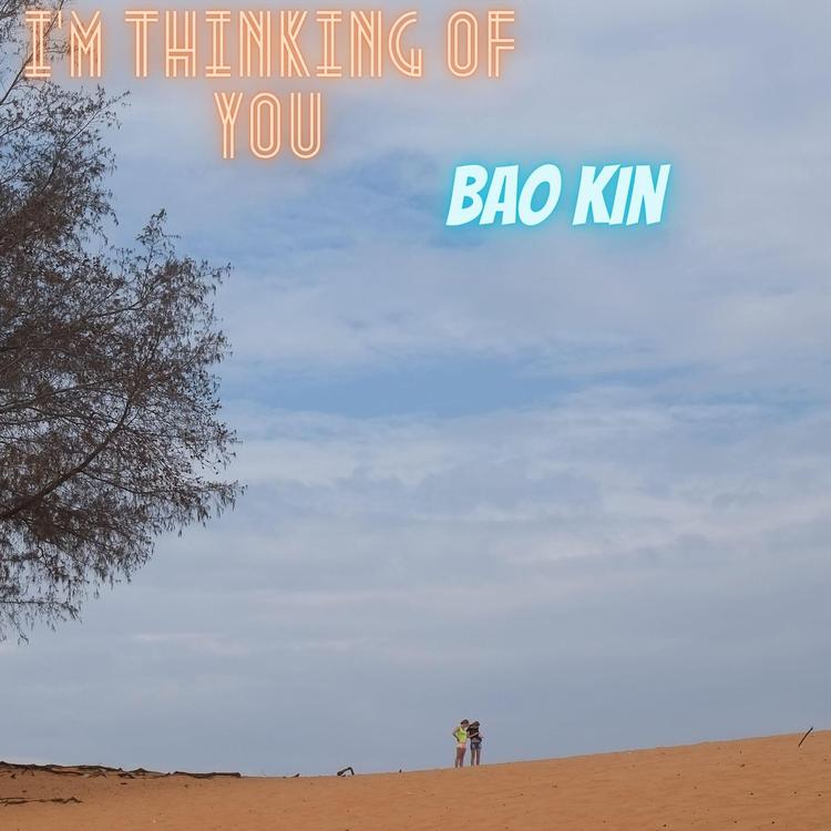 Bảo Kin's avatar image