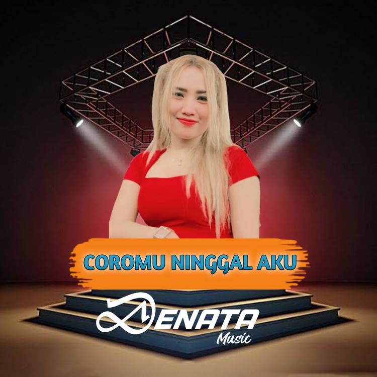 Denata Music's avatar image