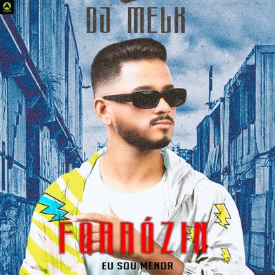 Forrózin Eu Sou Menor By djmelk, Alysson CDs Oficial's cover