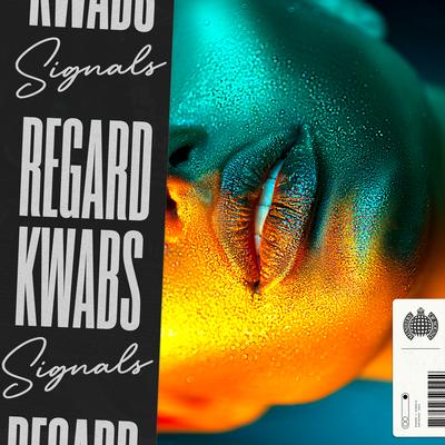 Signals By Regard, Kwabs's cover