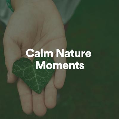 Calm Nature Moments, Pt. 47's cover