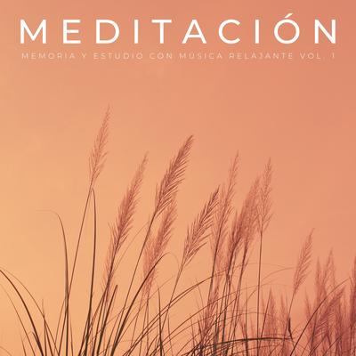 Ejercicios Para Mejorar La Memoria By Meditación Perfecta, Musica para Estudiar, Vibraciones Tranquilas's cover