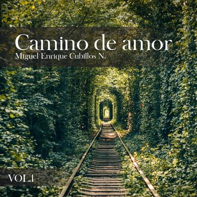 Camino de amor, Vol. 1's cover