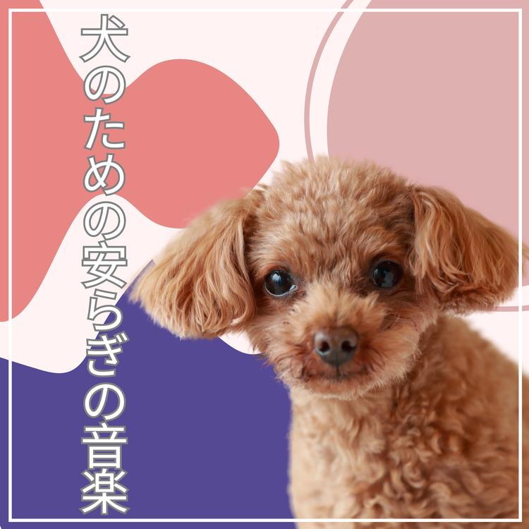 子犬のための器楽子守唄's avatar image