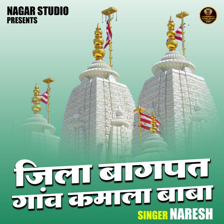 Naresh's avatar image