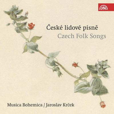 Czech Folk Songs: Playing at Queen /Anniversary Songs and Rhymes/ (I. Page 206)'s cover