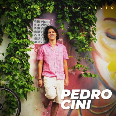 Meu Vício By Pedro Cini's cover