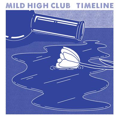 Club Intro By Mild High Club's cover