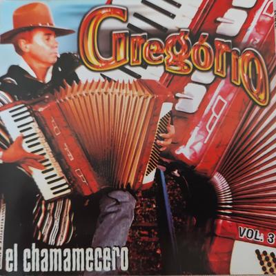 El Chamamecero By Gregório Fronteira's cover