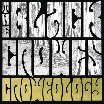 Remedy By The Black Crowes's cover