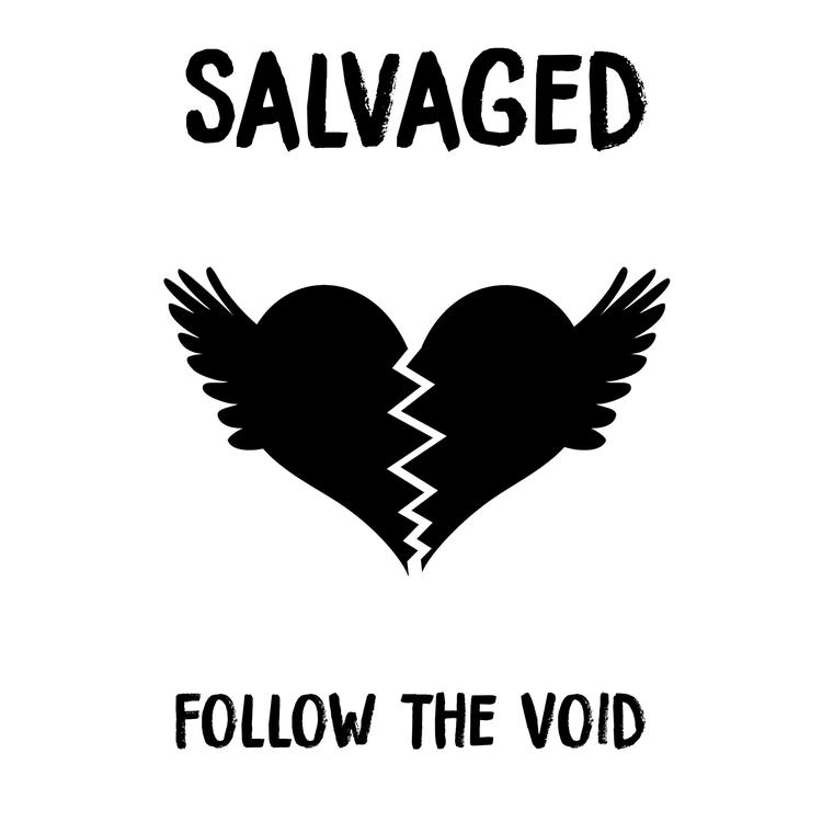 Follow the Void's avatar image