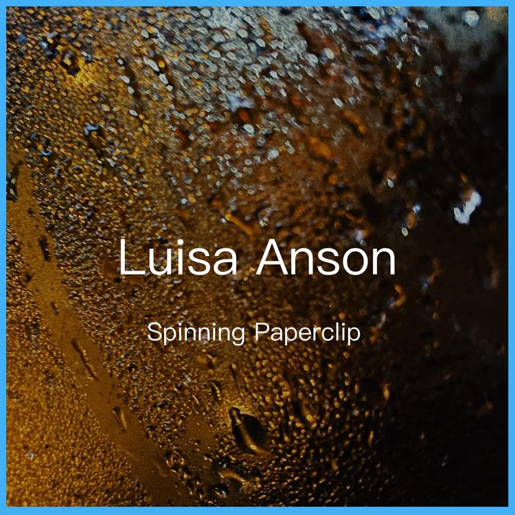 Luisa Anson's avatar image