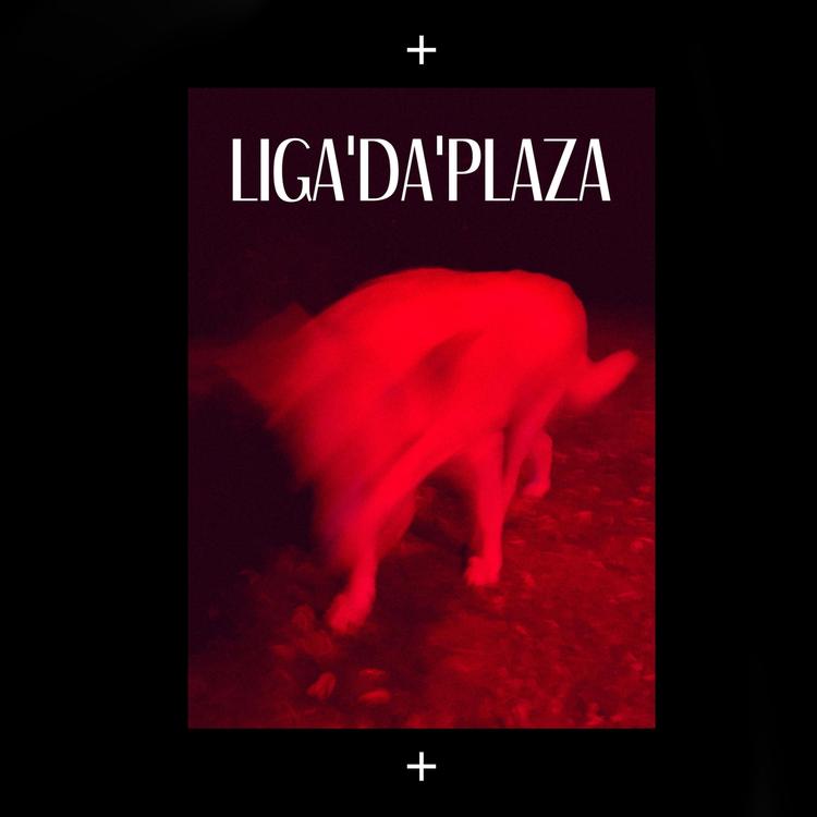 Liga'da'plaza's avatar image