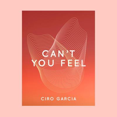 Can't You Feel's cover