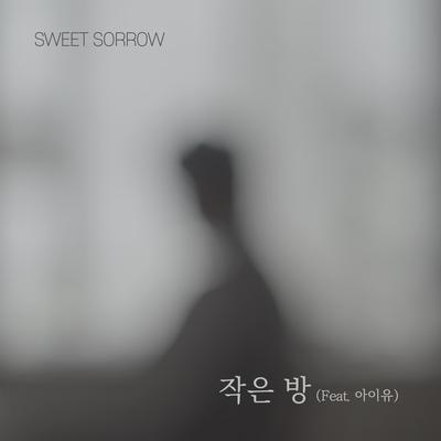 Small Room (Feat. IU) 's cover