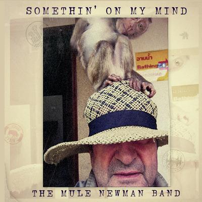 The Mule Newman Band's cover