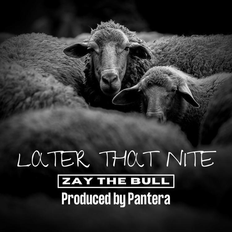 ZAY the Bull's avatar image