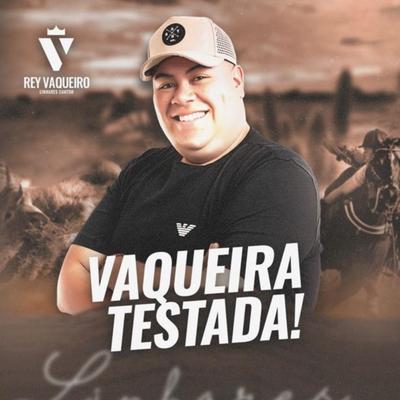 É o Boi, o Cavalo e o Vaqueiro By Rey Vaqueiro's cover