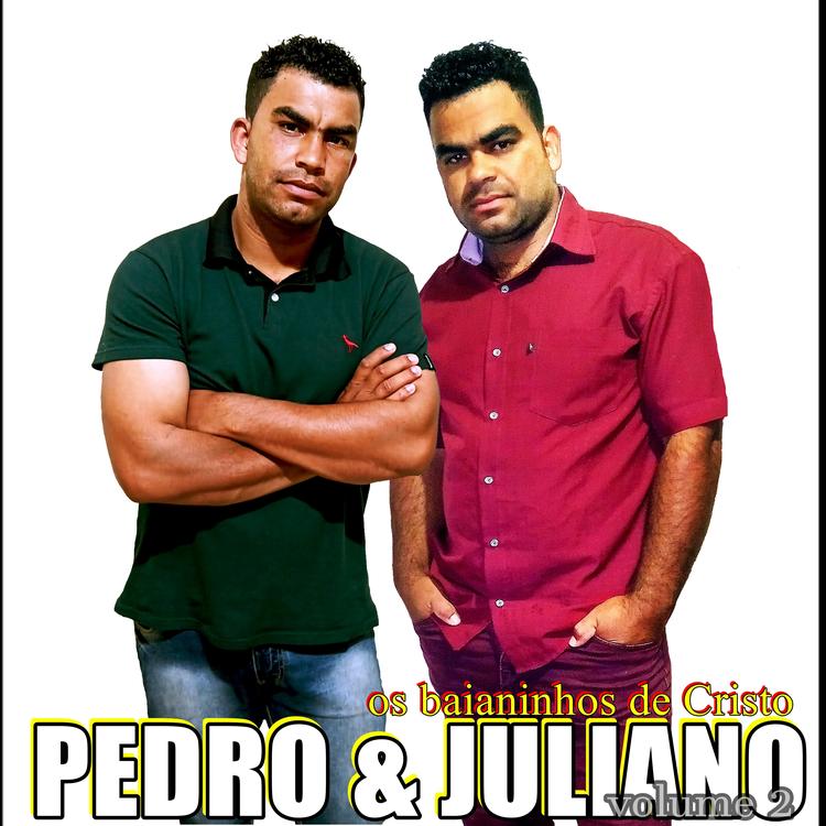 Pedro & Juliano's avatar image