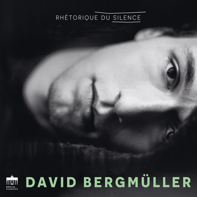 David Bergmüller's avatar image