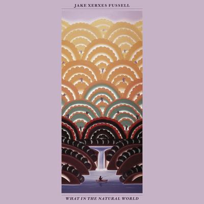 Jump for Joy By Jake Xerxes Fussell's cover