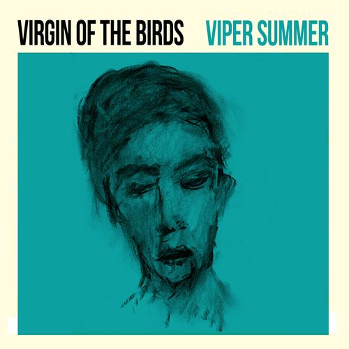 viper bird｜ TikTok