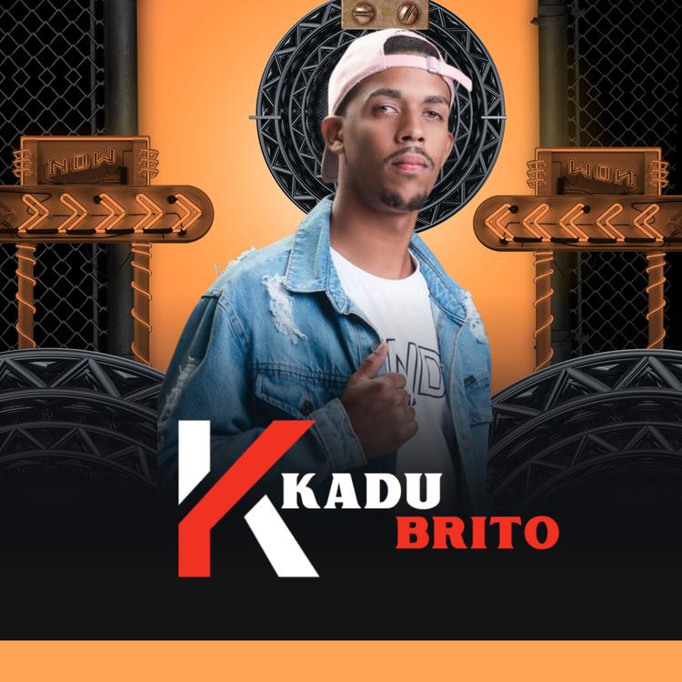 Kadu Brito's avatar image