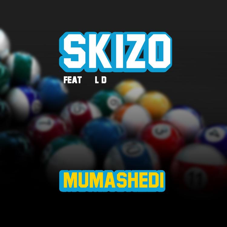 Skizo's avatar image