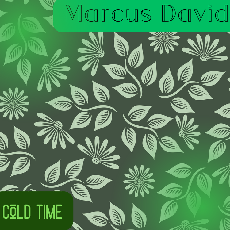 Marcus David's avatar image