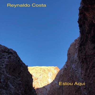 Estou Aqui By Reynaldo Costa, Virgilio Primo's cover