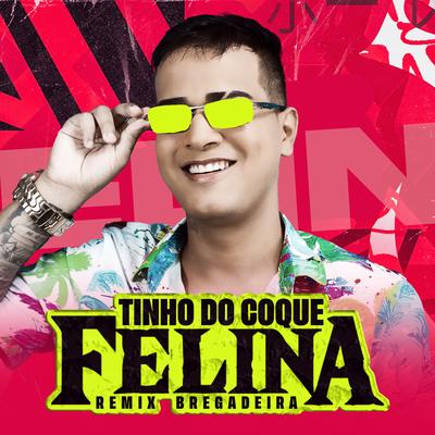 Felina (Remix) By Tinho do Coque's cover