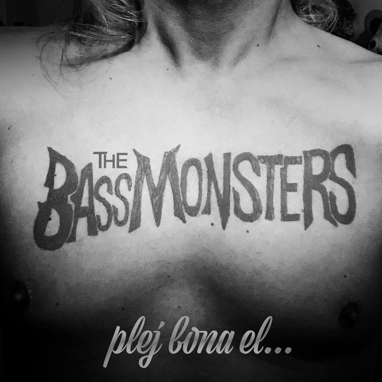 The Bassmonsters's avatar image
