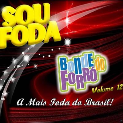 Sou Foda (Ao Vivo) By Bonde do Forró's cover