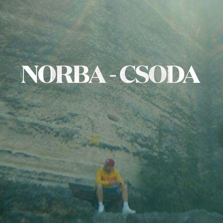 Norba's avatar image