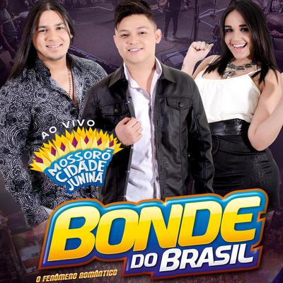 Romântico Anônimo (Ao Vivo) By Bonde do Brasil's cover