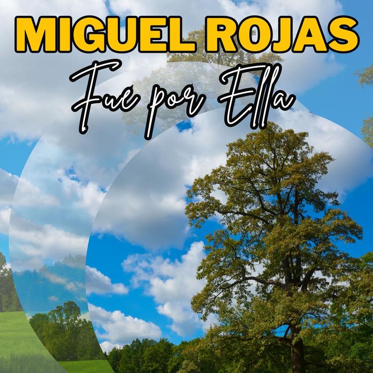 Miguel Rojas's avatar image