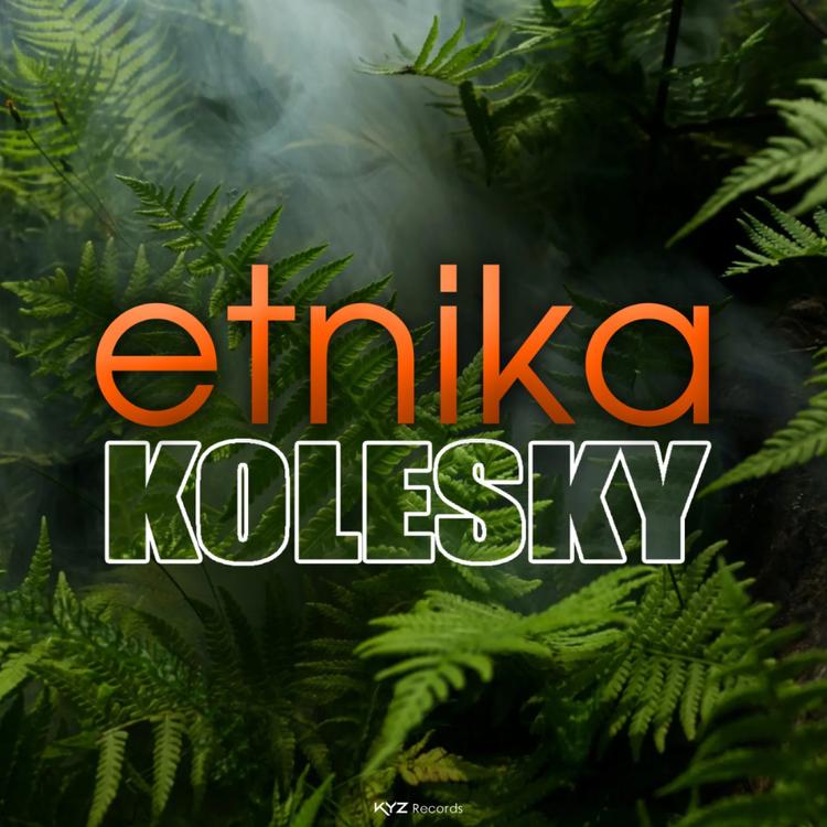 Kolesky's avatar image