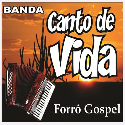 Deus da Minha Vida (Ao Vivo) By Banda Canto de Vida's cover