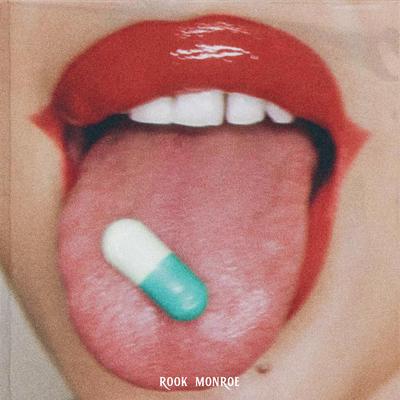 I Did Drugs For You By Rook Monroe's cover