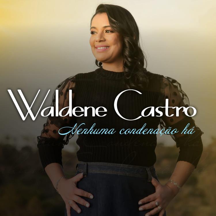 Waldene Castro's avatar image