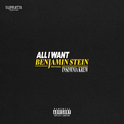 All I Want By Benjamin Stein, Insomnia Krew's cover