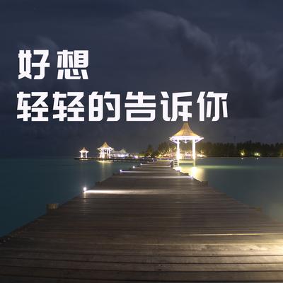 好想轻轻的告诉你 (DJ版)'s cover