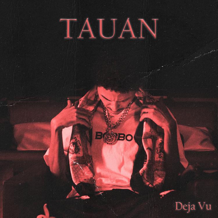 Tauan's avatar image