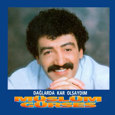 Dağlarda Kar Olsaydım's cover