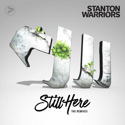 Still Here (Rektchordz Remix) By Stanton Warriors, Rektchordz's cover