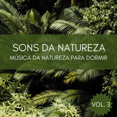 A Natureza Soa Para Um Sono Profundo, Pt. 10 By Música de Relaxamento No Spa, Dormir e Meditar, Música Relaxante para Dormir's cover