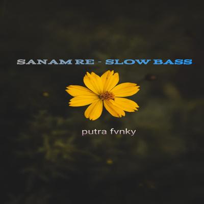 Sanam Re - Slow Bass's cover